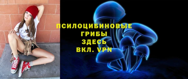 Альфа ПВП Алзамай