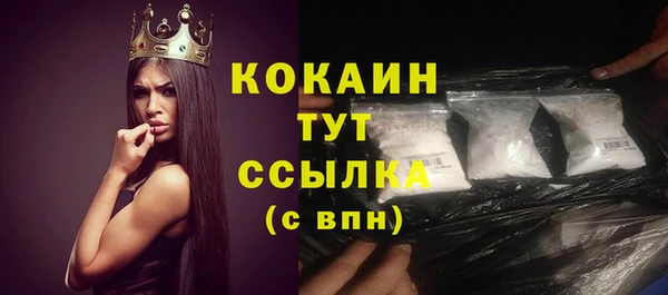 индика Абаза