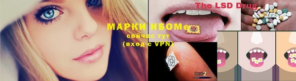 индика Абаза