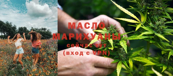 индика Абаза