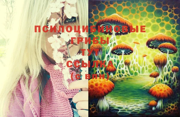 стафф Абинск