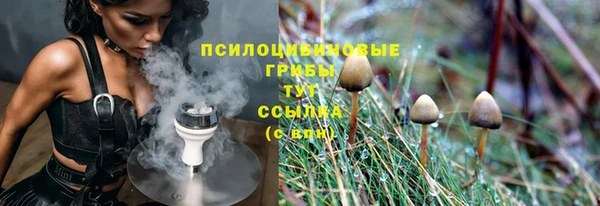 Альфа ПВП Алзамай