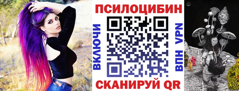 дарк нет Telegram  Цимлянск  Галлюциногенные грибы Psilocybine cubensis  KRAKEN ССЫЛКА 